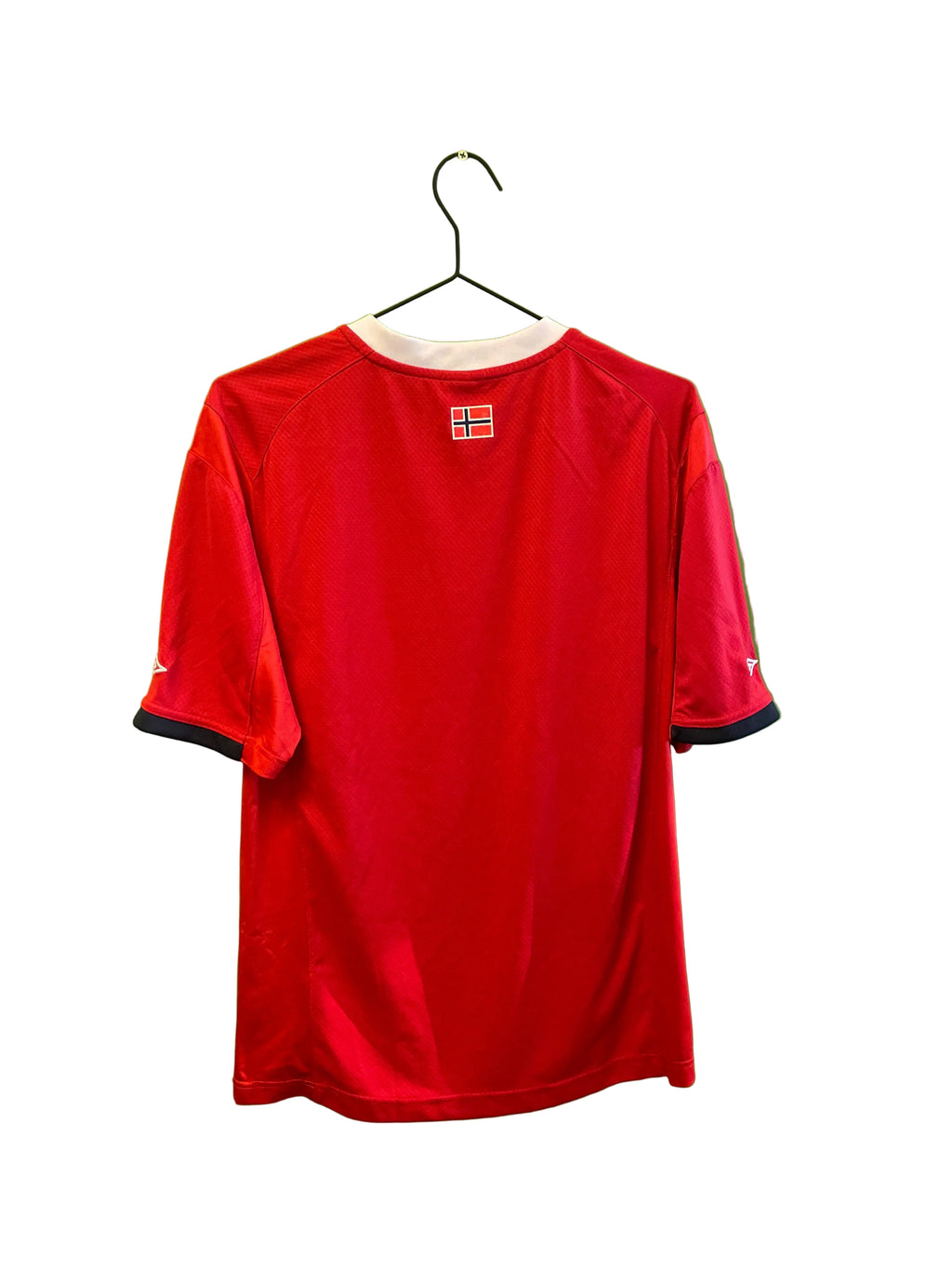 Norge hjemme 2010 (M)