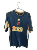 Stevenage hjemme 2004/05 (L)