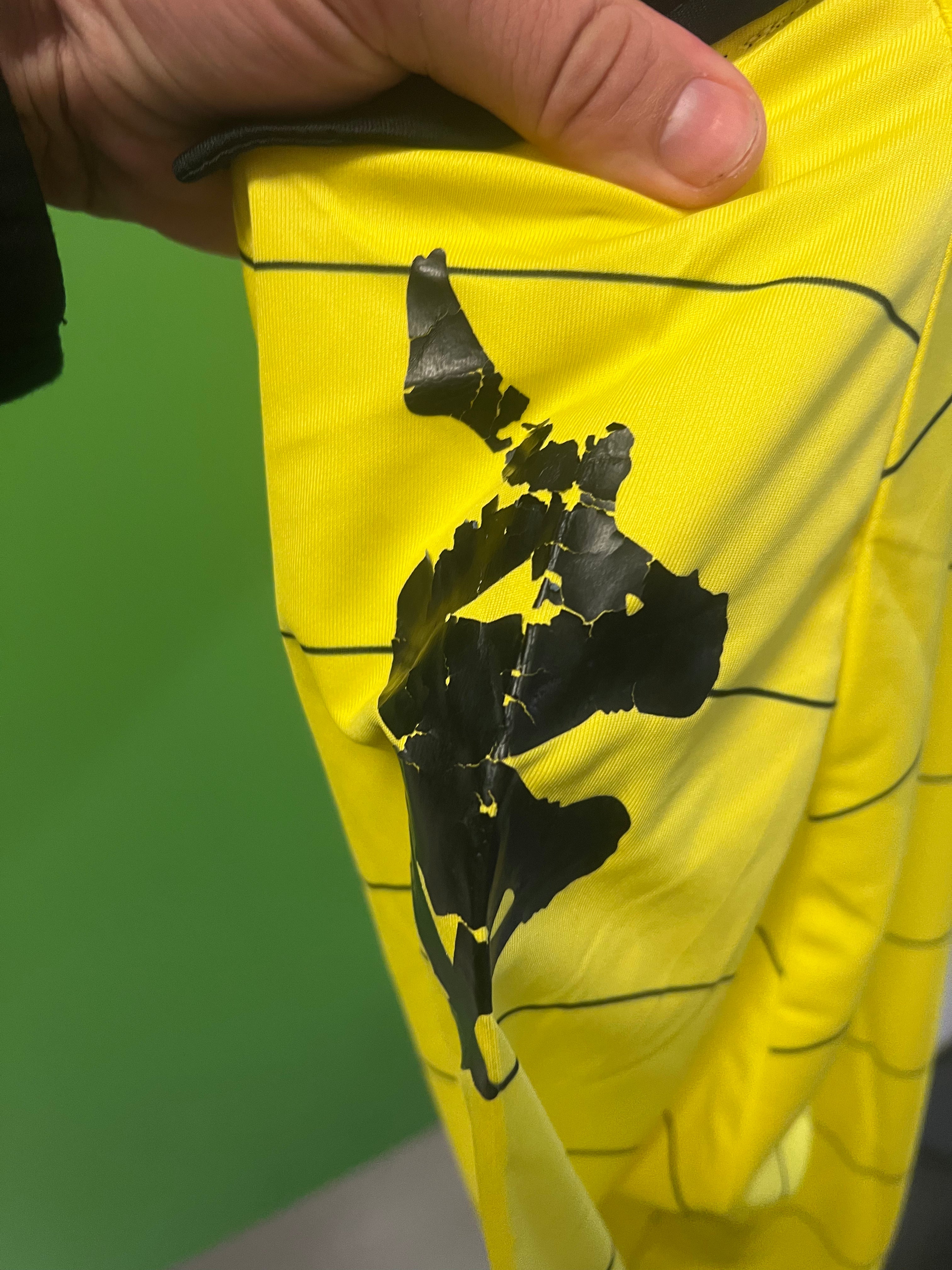 Borussia Dortmund hjemme 2010/11 (M)