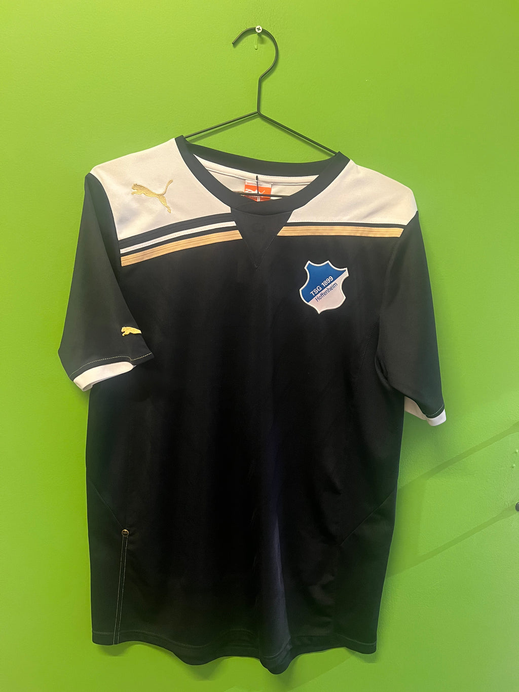 Hoffenheim tredje 2011/12 (S)