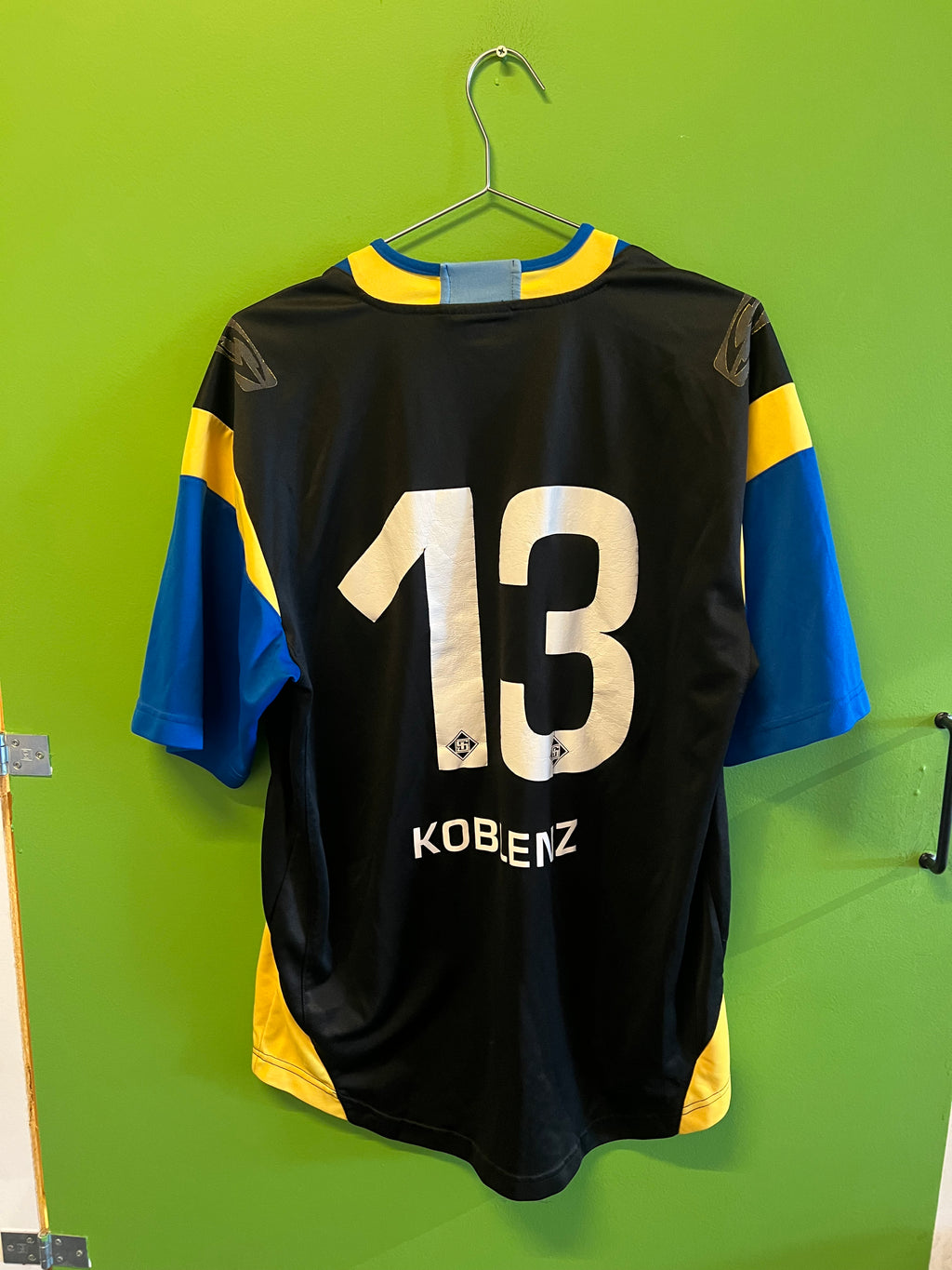 TuS Koblenz hjemme (L)