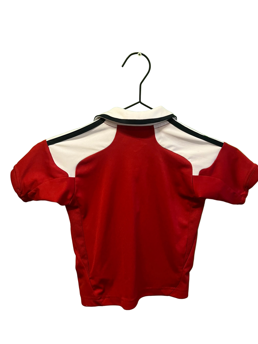 Danmark hjemme 2012/13 (JR 1-2 år)